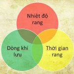 Kỹ thuật rang Cà phê